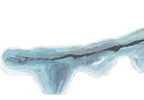 branch