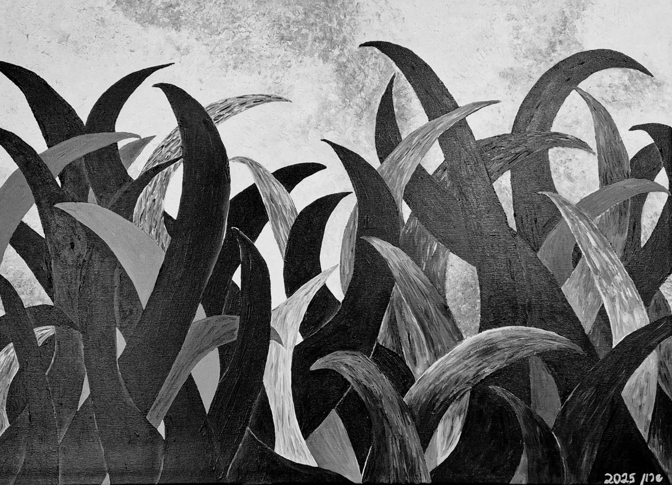 'Black and White' monochrome painting by Sharon - 70x50cm acrylic on canvas