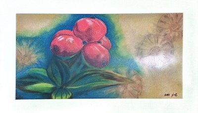 Initial sketch of the Red Fruits custom painting from Sharon’s Art, nature and landscape category